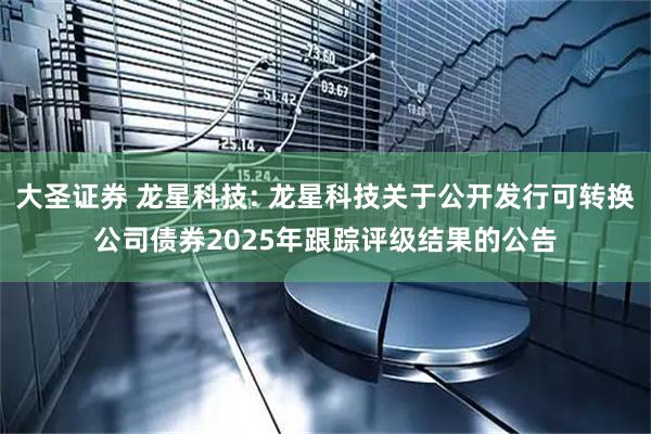 大圣证券 龙星科技: 龙星科技关于公开发行可转换公司债券2025年跟踪评级结果的公告
